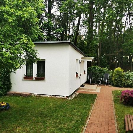 Ferienbungalow Im Igelbau Baabe Zewnętrze zdjęcie