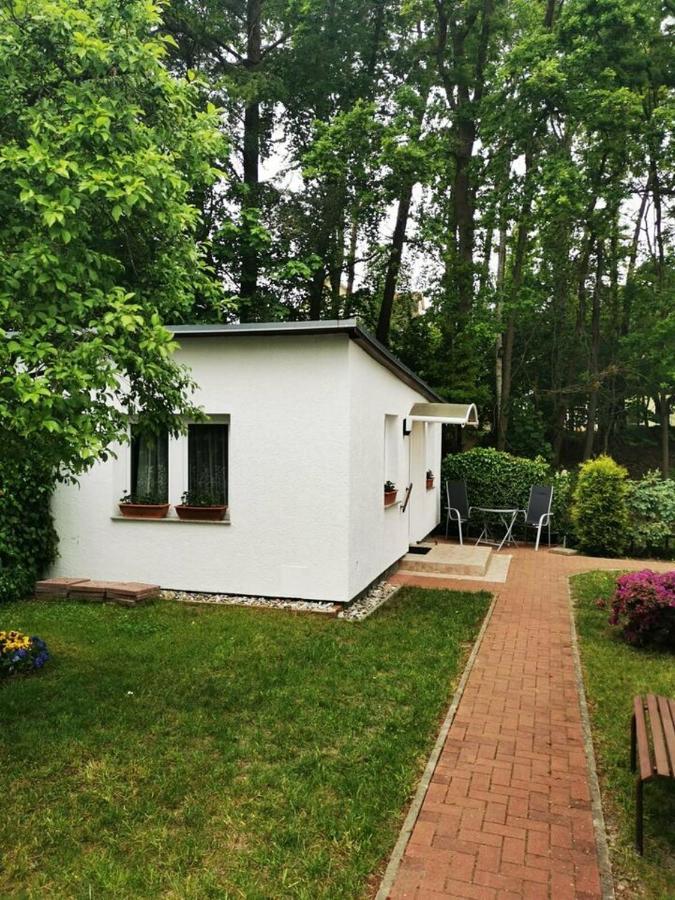 Ferienbungalow Im Igelbau Baabe Zewnętrze zdjęcie